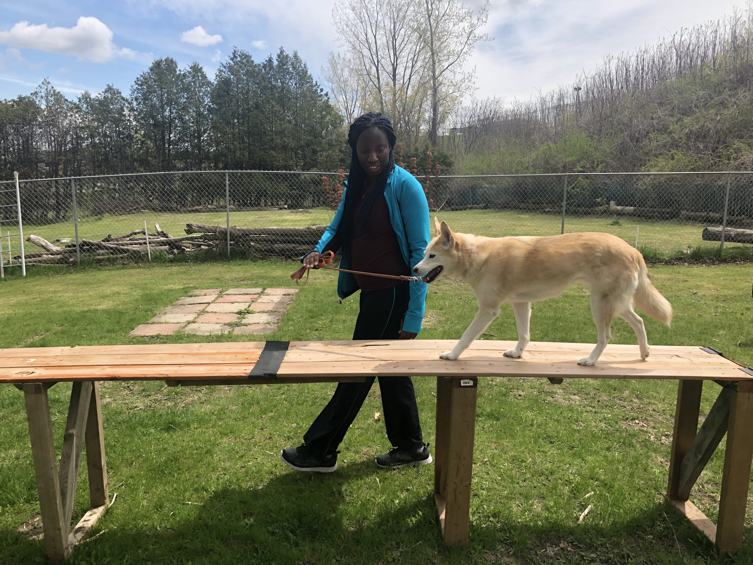 DTN student guiding a dog along a raised wooden walkway